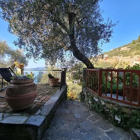 Il Frantoio Di Pietro Apartamento