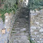 Lägenhet Il Frantoio Di Pietro Zoagli