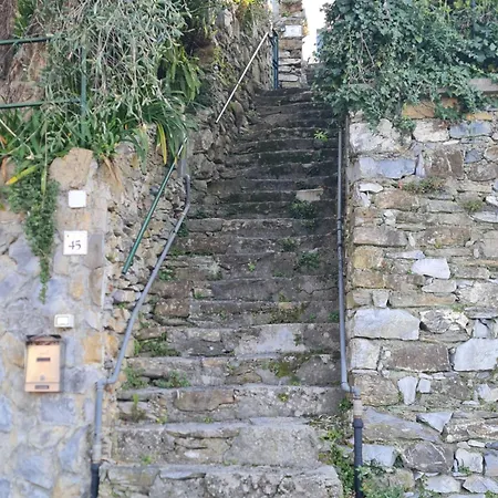 Lejlighed Il Frantoio Di Pietro Zoagli